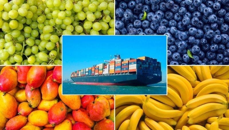 Exportaciones peruanas de frutas sumaron US$ 4.133 millones entre enero y agosto de 2025