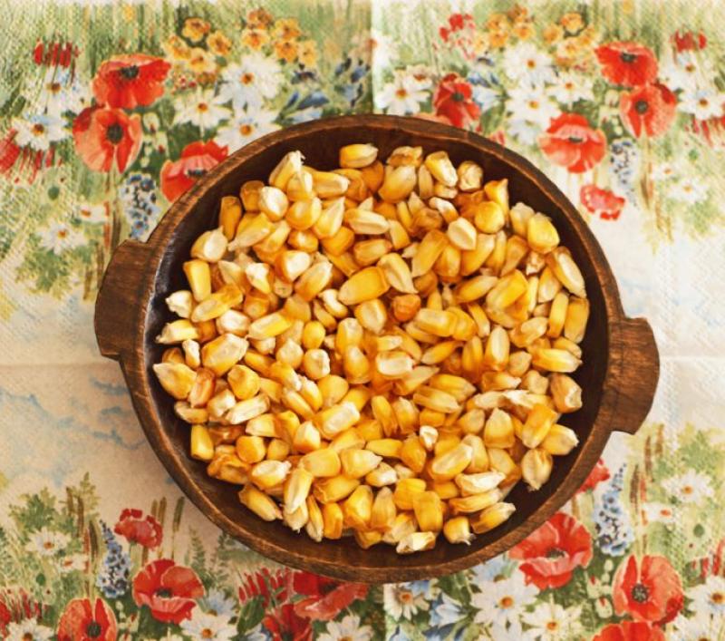 Exportaciones peruanas de maíz chulpi aumentan grandemente y ya suman US$ 17.5 millones