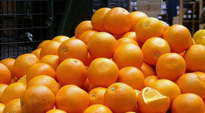 Exportaciones peruanas de naranja crecen 37% en volumen y 57% en valor de enero al 26 de octubre