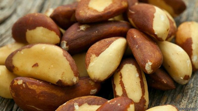 Exportaciones peruanas de nueces de Brasil a Rusia crecerían 15% este año