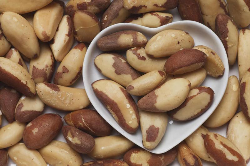 Exportaciones peruanas de nueces de Brasil crecieron 58% en el primer semestre del año