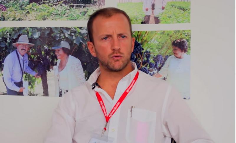 Exportaciones peruanas de palta crecerían alrededor del 15% el 2017