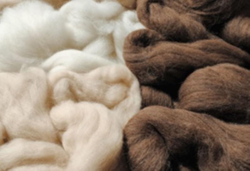 Exportaciones peruanas de productos de alpaca crecieron 48.8% en el primer semestre del año