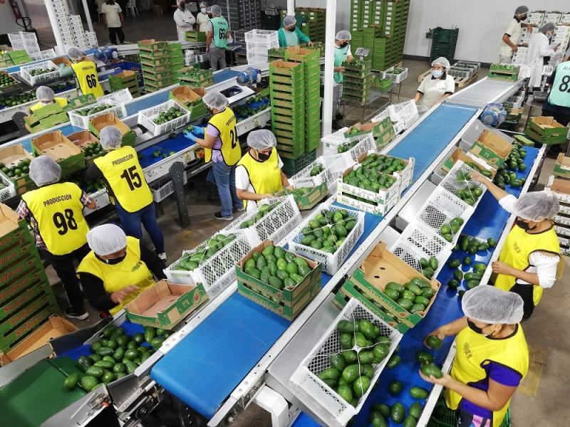 Exportaciones regionales cayeron 14% en valor en primer bimestre del año