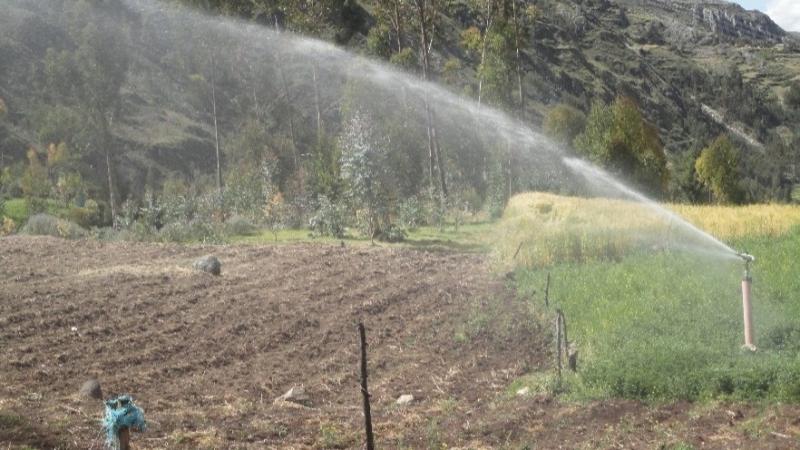 Facultades Legislativas en Materia Agraria: ¿Qué tan efectivas pueden ser?