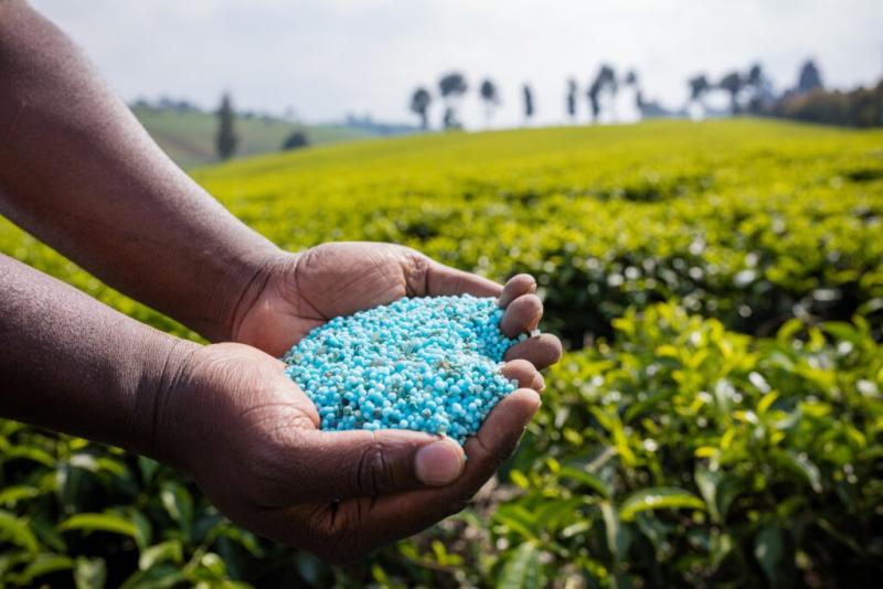 Falta de fertilizantes complica a agricultores peruanos tras sanciones internacionales a Rusia