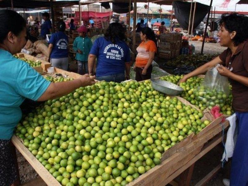 Fenómeno de El Niño Costero afectó producción de limones y precios suben nuevamente en los mercados