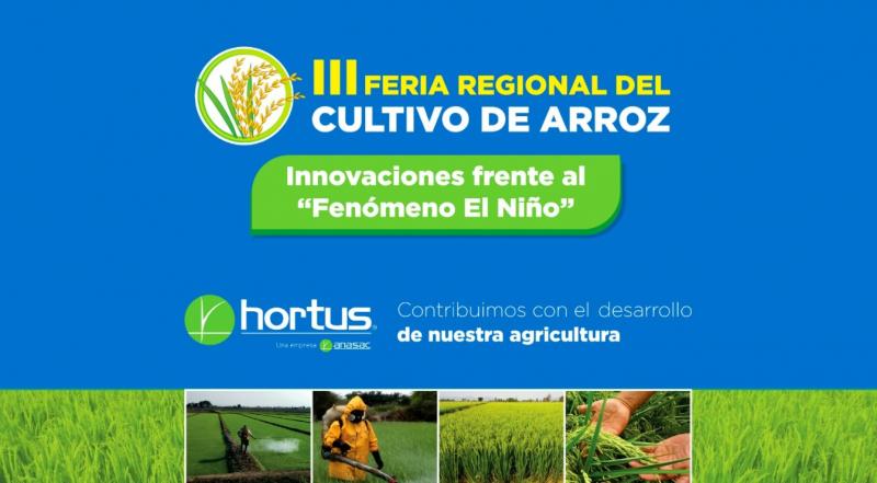 Feria Regional presentará innovaciones del cultivo de arroz para enfrentar Fenómeno El Niño