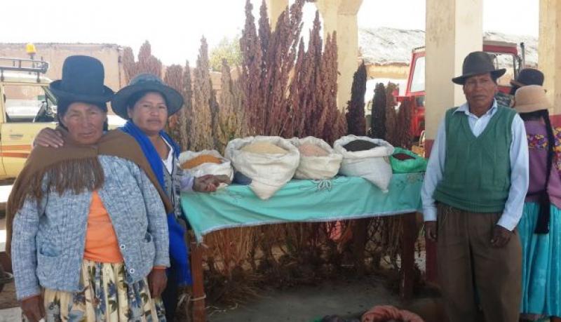 FESTIVAL GASTRONÓMICO Y AGROINDUSTRIAL POR DÍA NACIONAL DE GRANOS ANDINOS