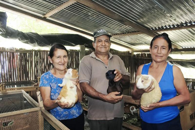 Foncodes incorpora a 359.842 hogares de comunidades rurales de la sierra y la selva a actividades productivas y de emprendimiento
