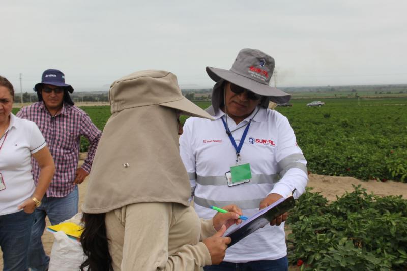 Formalizan a 9.435 trabajadores agrarios de La Libertad