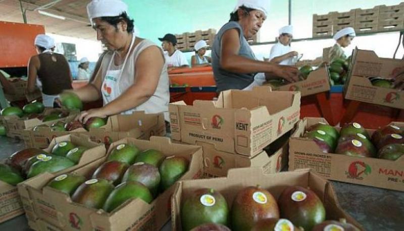 Foro Salud: Agroindustriales están evadiendo 5% que debería entrar a EsSalud