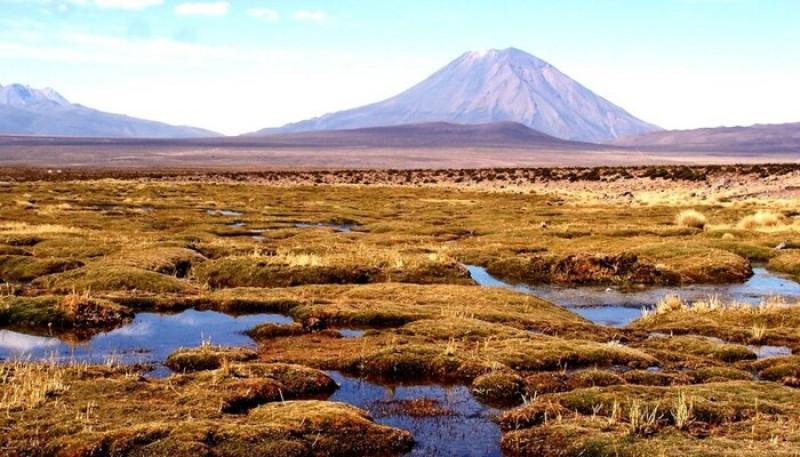 Fortalecen seguridad hídrica con recuperación de ecosistemas altoandinos