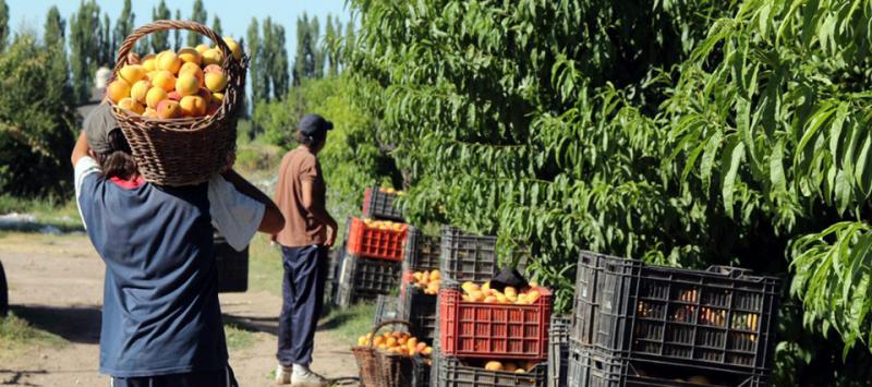 Francia elabora una ley donde el agricultor pone el precio de su producto