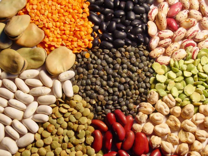 Frijol grano seco, haba grano seco y arverja grano seco representan el 79% de la producción nacional de legumbres