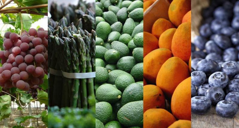 Frutas y hortalizas frescas crecieron 11% mientras que las procesadas solo aumentaron 1% en 2019