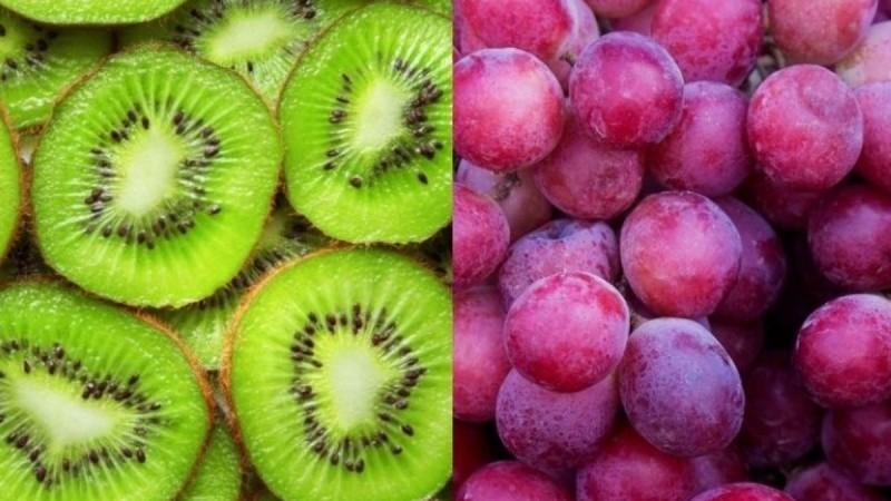 Fruticultura chilena crece 6,8% en la campaña 2025-2026 e impulsa sus envíos a mercados clave 