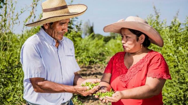 Funcionarios de Gobiernos regionales fueron capacitados para acelerar procesos de adquisición de productos agropecuarios