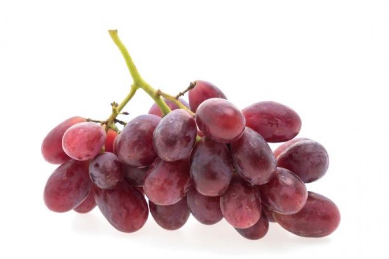Fundo Los Paltos proyecta exportar 100 mil cajas de uva de mesa sin semillas ecológicas