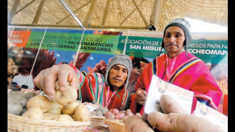 Gobierno aprueba “Calendario Nacional de Ferias y Eventos Agropecuarios Año 2018”