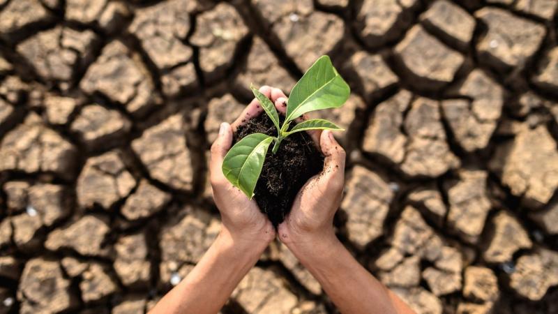 Gobierno aprueba política nacional ante cambio climático al 2050