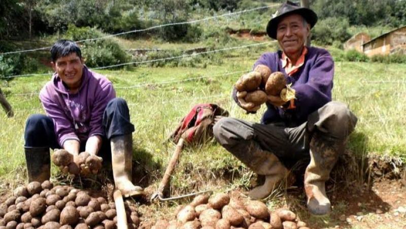 Gobierno firma acuerdo con Agrobanco para otorgar más de S/ 3.000 millones en créditos a pequeños productores agrarios