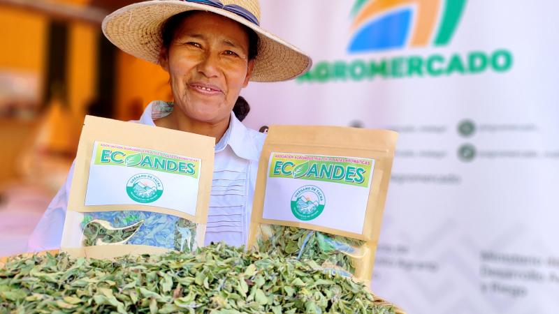 Gobierno pone en funcionamiento cuatro sedes de Agromercado en la costa