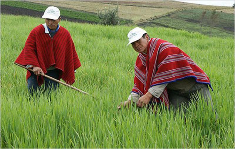 Gobierno promulga Ley que Promueve la Industrialización del Agro