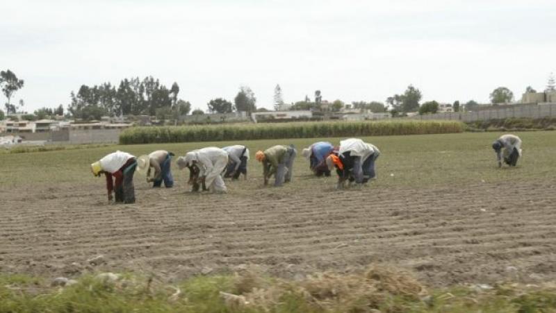 Gobierno Regional de Arequipa recibe capacitación legal en proceso de otorgamiento de terrenos eriazos para fines agrícolas