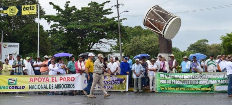 Gobierno se reuniría con productores de arroz este viernes en Tarapoto