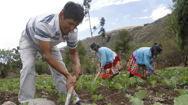 Gobierno simplificará procesos para acceso a créditos del Banco Agropecuario