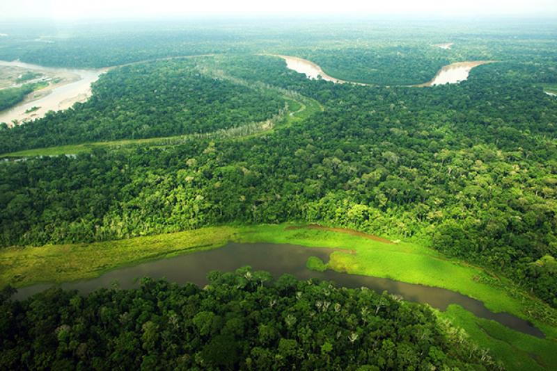 Gobiernos regionales amazónicos avanzan en su proceso de zonificación forestal