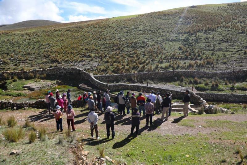 GORE Junín impulsará mega proyecto de forestación en “Lomo Verde” - Jauja
