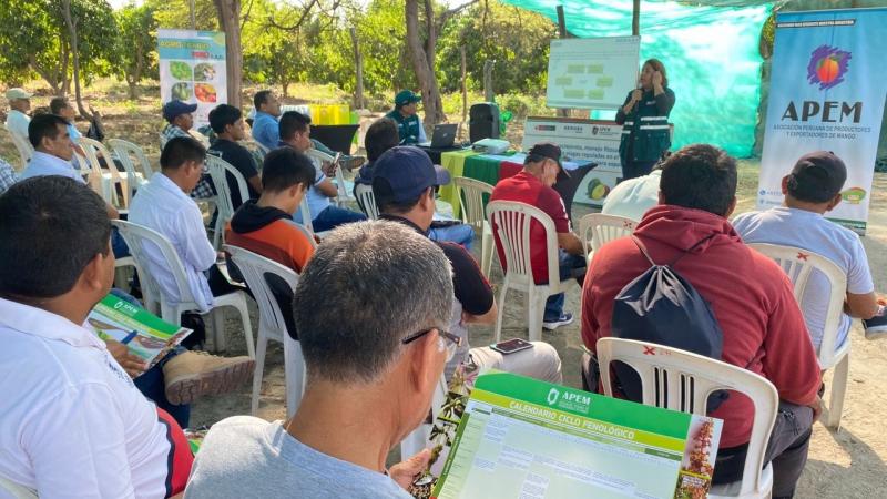 Gran Éxito de los Talleres de Mango organizados por APEM