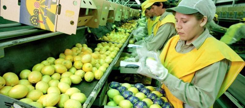 Gremio cítrico de California aplaude suspensión de importación de limones argentinos a EE.UU.