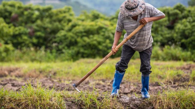 Gremios de agricultores rechazan nueva ley agraria