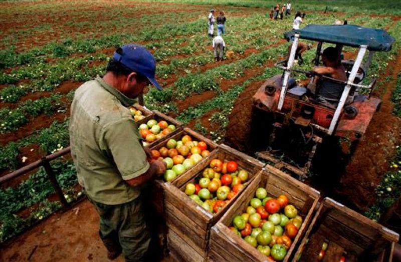 GUATEMALA ACUSA A PERÚ ANTE LA OMC POR ARANCELES AGRÍCOLAS