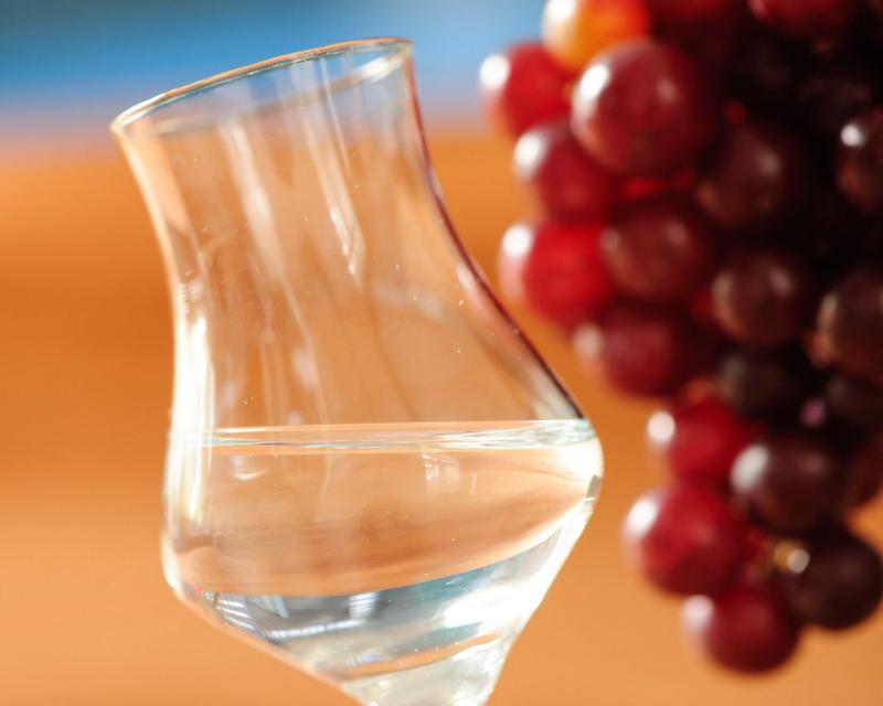 Guatemala reconoce la Denominación de Origen Pisco a favor del Perú