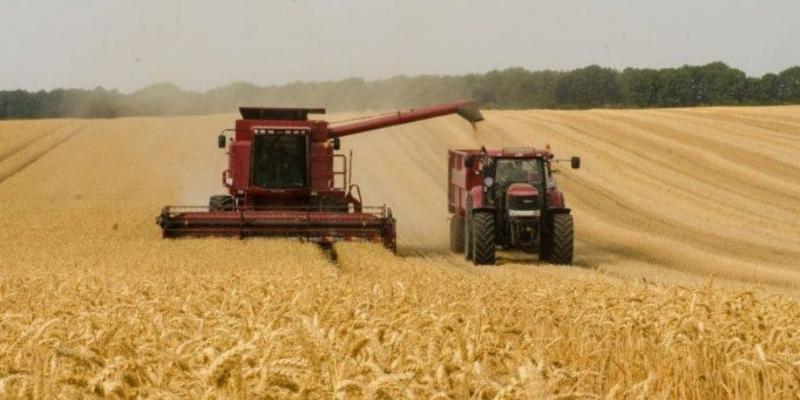 Guerra entre Rusia y Ucrania sacude la industria alimentaria europea