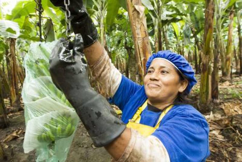 Habilitan una mayor flexibilidad en la toma de decisiones en el uso de la Prima de Comercio Justo Fairtrade