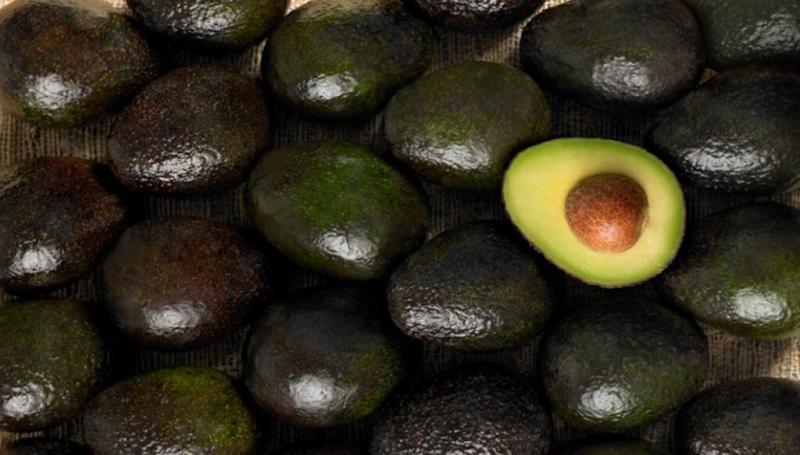 Hass Avocado Board apuesta por la investigación nutricional en su nuevo plan estratégico 2025-2030