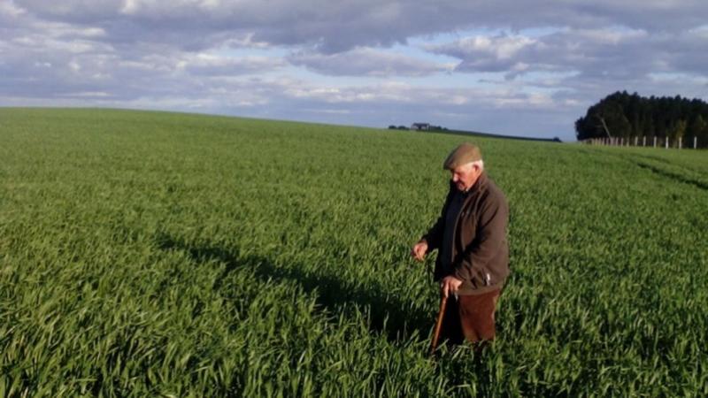 Hay que potenciar los Servicios de Extensión Agraria en el Perú