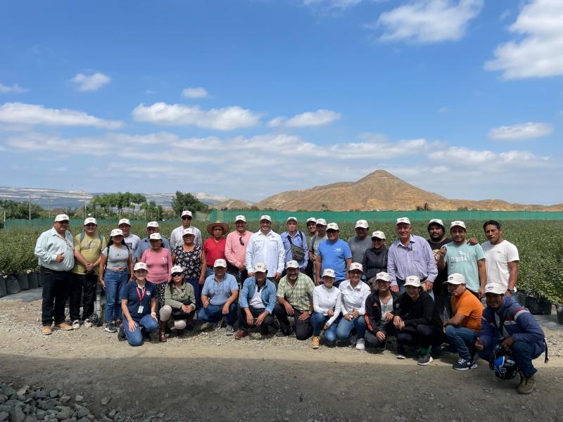 Hortifrut Perú capacita a pequeños agricultores para fortalecer producción de arándanos en Chao