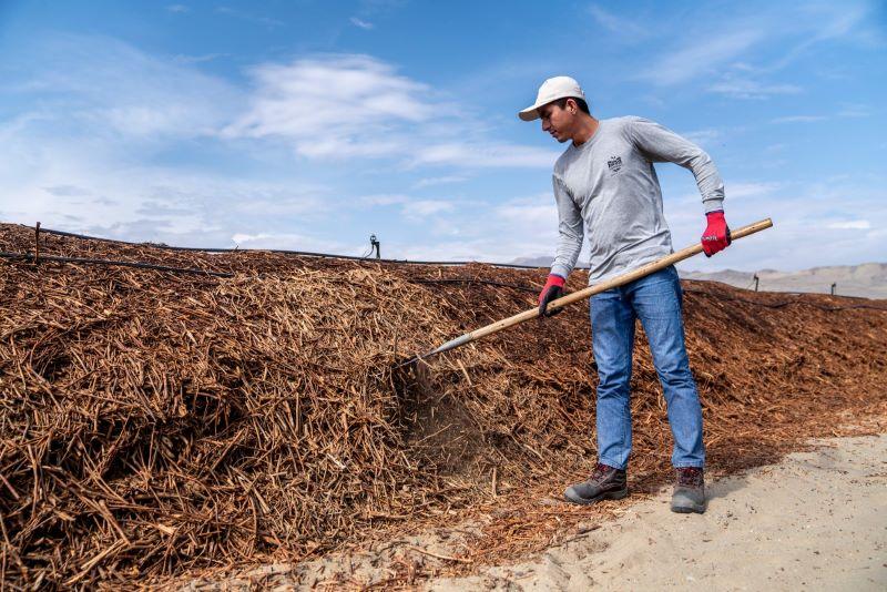 Hortifrut Perú contribuye con el cuidado del  ambiente para generar un entorno adecuado para las comunidades de Chao