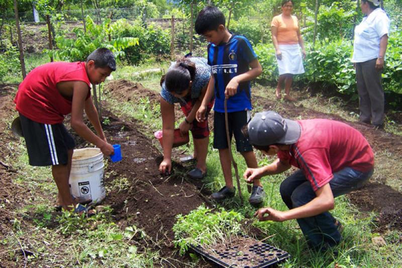 HOY LANZAN EN LIMA EL AÑO INTERNACIONAL DE LA AGRICULTURA FAMILIAR 