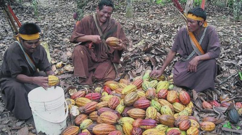 Hoy se inicia exposición fotográfica “La Otra Cara del Vraem”
