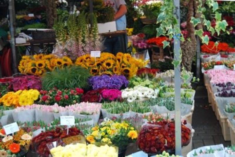 Hoy se inicia feria Perú Flora 2017 en Lima