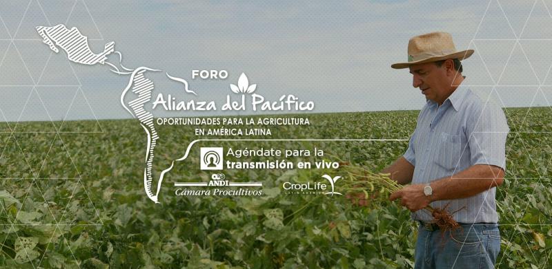 Hoy se realiza el  Foro Internacional “Alianza del Pacifico: Oportunidades para la agricultura en América Latina”