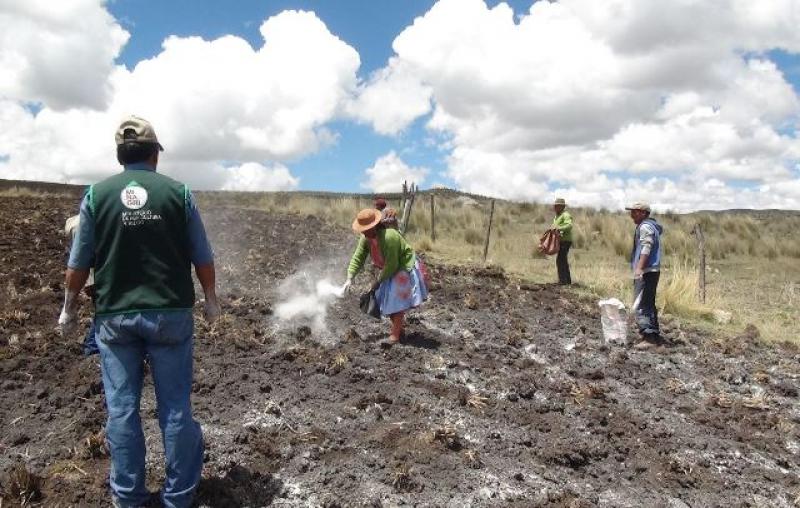 HUANCAVELICA: MÁS DE 200 PRODUCTORES SE BENEFICIAN CON PARCELAS DEMOSTRATIVAS