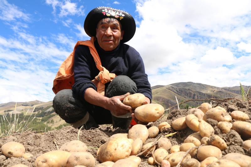 Huancavelica sembrará 3.319 hectáreas de cultivos orgánicos adicionales en la campaña agrícola 2021/2022